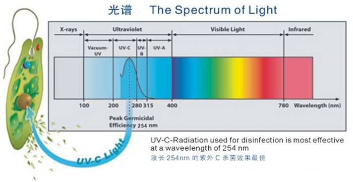 科普！紫外線殺菌燈對(duì)人體影響及正確使用方法